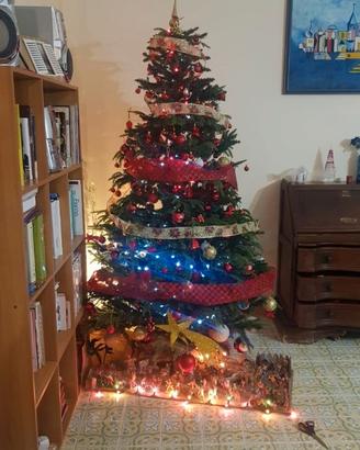 Albero di Natale grandissimo!