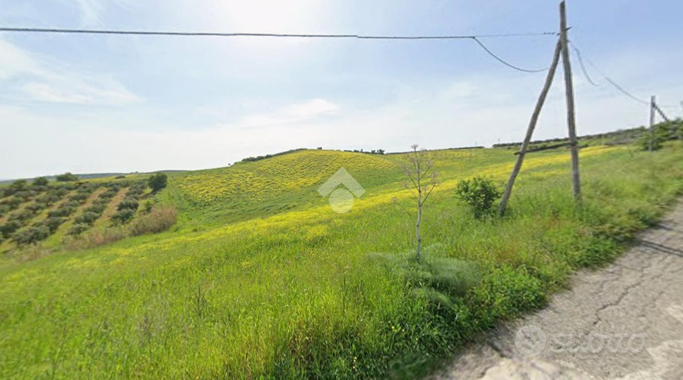 TER. AGRICOLO A TERRANOVA DA SIBARI - Altro