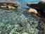 Immagine 14