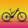 e-mtb-raymon-fullray-130e-4-0