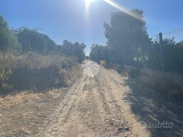 TER. AGRICOLO A QUARTUCCIU