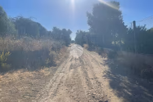 TER. AGRICOLO A QUARTUCCIU