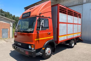 Iveco 65-10 TRASPORTO BESTIAME