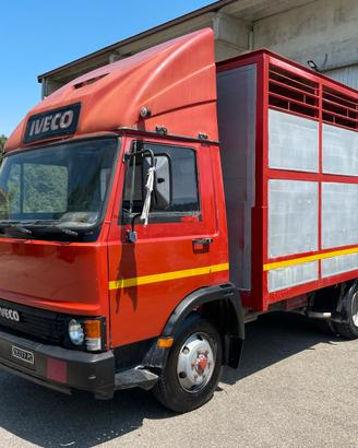 Iveco 65-10 TRASPORTO BESTIAME
