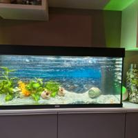 Acquario Juwel 240 lit.