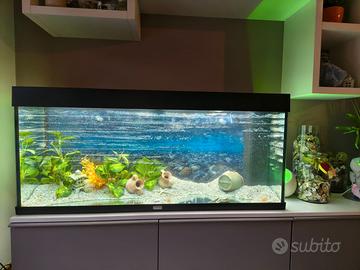 Acquario Juwel 240 lit.