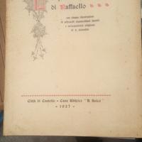 la prima giovinezza di raffaello 