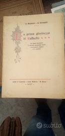 la prima giovinezza di raffaello 