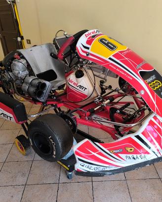 birel art s19