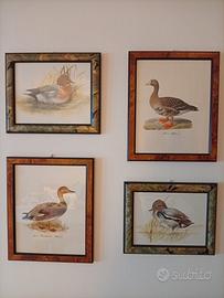 Quadri natura Wright