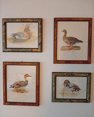 Quadri natura Wright