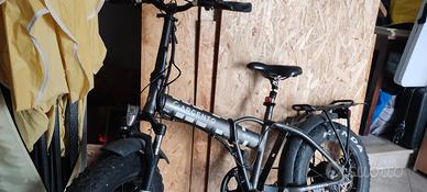 bicicletta pedalata assistita 