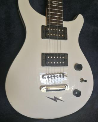 Chitarra elettrica  J & D