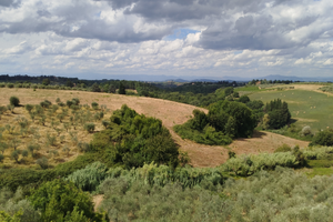 Casa in Chianti Toscana