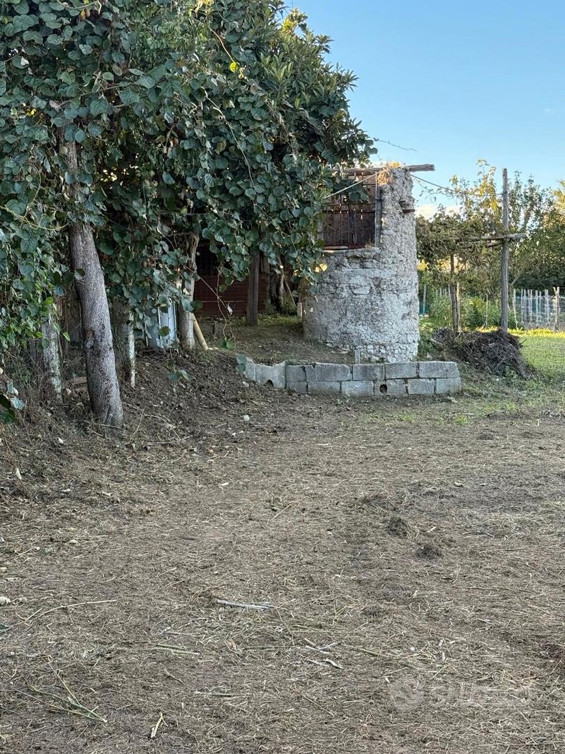 Terreno con deposito : ideale per azienda agricola - Vista 5