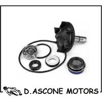 Kit revisione pompa acqua T-max Tmax 530 2012 2016