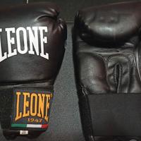 Kit  kick boxing Leone .