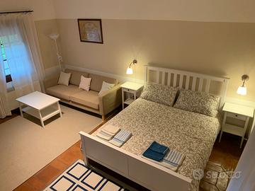 Ampio monolocale, ingresso autonomo, piano terra