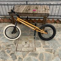 Bicicletta da trial
