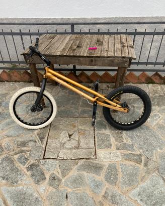 Bicicletta da trial