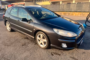 Peugeot 407 Sw 