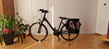 Bicicletta elettrica E Bike kalkhoff