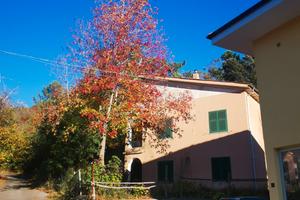 Villa da ristrutturare Vezzi Portio