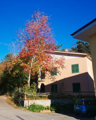 Villa da ristrutturare Vezzi Portio