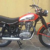 Ducati scrambler