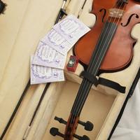 Viola Soundsation  VIOVS-16