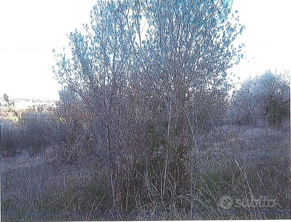 Immobile in asta di 33490 m² a Perugia - Vista 2