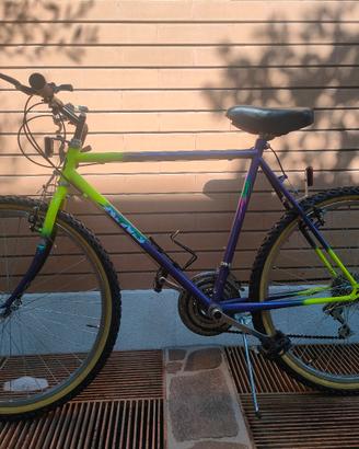 Bicicletta 26 pollici 3 + 6 velocità