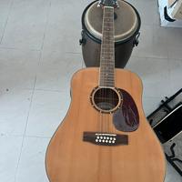 Ashton D25  /12 NTM (Chitarra )