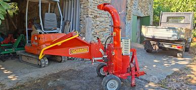 Caravaggi bio 230