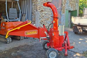 Caravaggi bio 230
