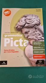 Libro Picta grammatica latino