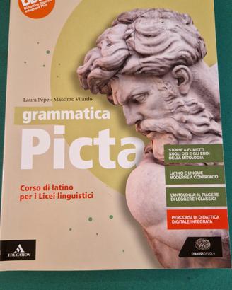 Libro Picta grammatica latino