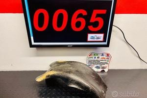 PROTEZIONE TELAIO KTM VECCHI IN CARBONIO