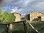 Immagine 12
