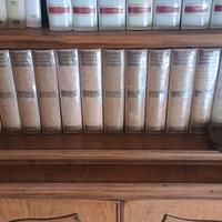 GRANDE DIZIONARIO ENCICLOPEDICO UTET FEDELE