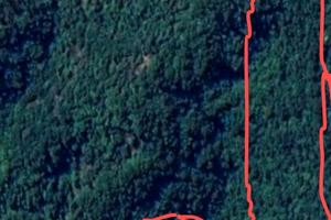 Vendita terreno agricolo a Bocchigliero (CS)