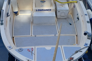 Pilotina semicabinata mt 6