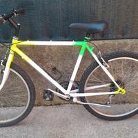 mtb da ragazzo o adulti da 26