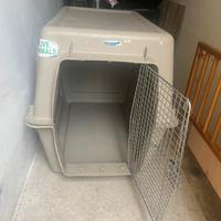 Kennel per cane
