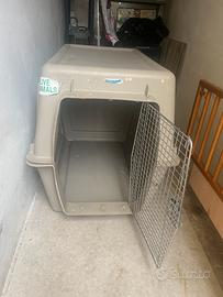 Kennel per cane