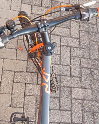 bici 24