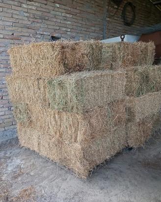 Balline di erba medica