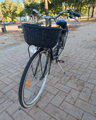 Bicicletta WEG Modello Passeggio