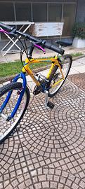 biccletta Mountain bike 