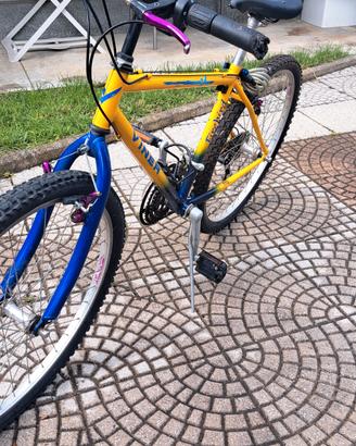 biccletta Mountain bike 